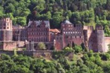 Information for guests