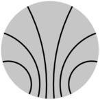 Kirchhoff-Institute for Physics