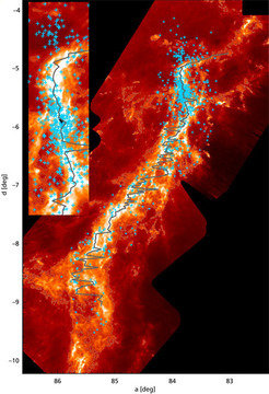 Figure 4: Position of young stars in the Orion A cloud (pre-main sequence Class II stars after Megeath et al. 2010). Only stars with radial velocities available from the Apogee survey are shown. In contrast to the protostars (figure 3) the stars have essentially all left the filament.