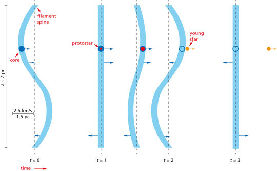Figure 2: Sketch of the slingshot mechanism. While the object is still a protostar, it is wafted along with the undulating filament. Once the protostar has transformed into a young star, becoming much more compact in the process, interaction with the filament is not sufficiently strong to effect significant acceleration. The young star is left behind as the filament undulates on, or shot out of the filament as by a slingshot.