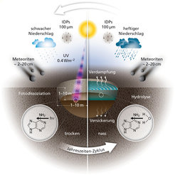 A schematic representation of the various influences acting on chemicals in warm little ponds during the dry phase and wet phase of the cycle: infalling meteorites and interplanetary dust grains (IDGs), seepage, evaporation, re-filling through precipitation, hydrolysis of more complex molecules and photo-dissociation by UV photons from the Sun.