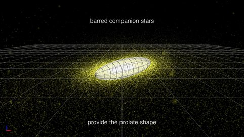 Die Entstehung einer kosmischen Spindel. Der hier gezeigte Mechanismus wurde von Athanasia Tsatsi und ihren Kollegen vorgeschlagen, um die jüngsten Entdeckungen von Galaxien dieser Art mit der CALIFA-Umfrage zu erklären. Es handelt sich um eine polare Verschmelzung zweier spiralförmiger Galaxien. Eine der Spiralgalaxien entwickelt vor dem Zusammenschluss eine ausgeprägte längliche Struktur (ein "Balken", um den Fachbegriff zu verwenden), die der daraus resultierenden elliptischen Galaxie ihre zigarrenähnliche Form verleiht. Die Sterne der zweiten Spiralgalaxie umkreisen am Ende den Balken des ersten Begleiters.