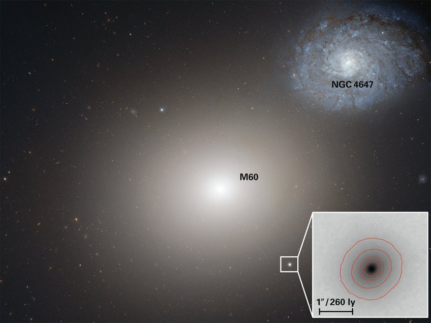 Abbildung 1: Die Aufnahme des Hubble-Weltraumteleskops zeigt in der Bildmitte die große Galaxie M60 und darunter die ultrakompakte Zwerggalaxie M60-UCD1, in der das supermassereiche Schwarze Loch gefunden wurde. Zu der Gruppe gehört auch die Spiralgalaxie NGC4647 oben rechts. Abbildung 1: Die Aufnahme des Hubble-Weltraumteleskops zeigt in der Bildmitte die große Galaxie M60 und darunter die ultrakompakte Zwerggalaxie M60-UCD1, in der das supermassereiche Schwarze Loch gefunden wurde. Zu der Gruppe gehört auch die Spiralgalaxie NGC4647 oben rechts.