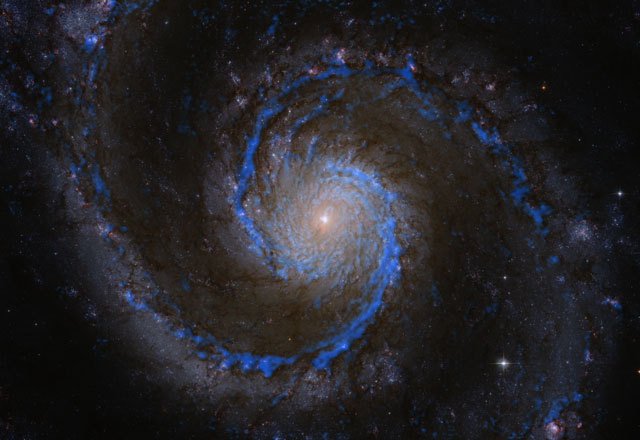 Abbildung 1: Molekülwolken in der Whirlpool-Galaxie M 51. Die blauen Strukturen zeigen die Verteilung der Wasserstoffmoleküle in M51 an, des Rohmaterials für die Sternentstehung. Die Astronomen des PAWS-Teams haben aus diesen Daten einen Katalog von mehr als 1.500 Molekülwolken erstellt. Im Hintergrund ist ein Bild der Galaxie im sichtbaren Licht zu sehen, aufgenommen mit dem Weltraumteleskop Hubble. Darüber ist in blau die CO(1-0)-Strahlung der Kohlenstoffmonoxid-Moleküle gezeigt, die für die PAWS-Studie mit den Millimeterteleskopen des Institut de Radioastronomie Millimétrique aufgenommen wurden; da Kohlenstoffmonoxid- und Wasserstoffmoleküle zusammen auftreten, zeigt diese Strahlung die Verteilung von molekularem Wasserstoff an.