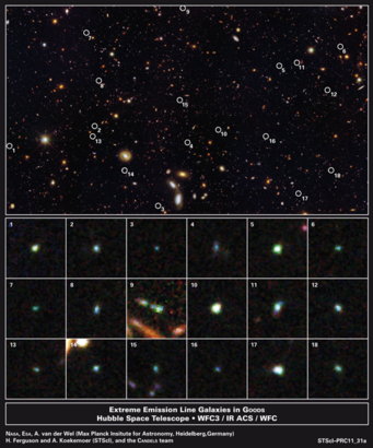 Abbilung 2: Eine der zwei Himmelsregionen, in denen das CANDELS-Team einen ungewöhnlichen neuen Typ Zwerggalaxie gefunden hat. Der gezeigte Ausschnitt ist Teil des so genannten GOODS-South-Felds im Sternbild Chemischer Ofen (lat. Fornax). Die Positionen von 18 der neu gefundenen Galaxien sind markiert und die einzelnen Galaxien sind im unteren Bildteil einzeln vergrößert dargestellt. Es handelt sich um ein Falschfarbenbild, in dem die Zwerggalaxien allerdings ungefähr so gefärbt sind, wie sie aussehen würden, wenn die kosmische Rotverschiebung ihr Licht nicht zu deutlich niedrigeren Frequenzen hin verschoben hätte. Abbilung 2: Eine der zwei Himmelsregionen, in denen das CANDELS-Team einen ungewöhnlichen neuen Typ Zwerggalaxie gefunden hat. Der gezeigte Ausschnitt ist Teil des so genannten GOODS-South-Felds im Sternbild Chemischer Ofen (lat. Fornax). Die Positionen von 18 der neu gefundenen Galaxien sind markiert und die einzelnen Galaxien sind im unteren Bildteil einzeln vergrößert dargestellt. Es handelt sich um ein Falschfarbenbild, in dem die Zwerggalaxien allerdings ungefähr so gefärbt sind, wie sie aussehen würden, wenn die kosmische Rotverschiebung ihr Licht nicht zu deutlich niedrigeren Frequenzen hin verschoben hätte.
