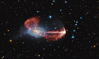 Abbildung 5: Eine der bei der Durchmusterung untersuchten Galaxien, NGC 4651, weist eine bemerkenswerte regenschirmartige Struktur auf. Dabei handelt es sich um Sternströme: um die Überreste einer kleineren Satellitengalaxie, die NGC 4651 angezogen und zerrissen hat. NGC 4651 ist 35 Millionen Lichtjahre von der Erde entfernt. Mit dieser Durchmusterung ist es erstmals gelungen, Spiralgalaxien, die sich kleinere Satellitengalaxien einverleiben, jenseits unserer »lokalen Gruppe« von Galaxien nachzuweisen. Abbildung 5: Eine der bei der Durchmusterung untersuchten Galaxien, NGC 4651, weist eine bemerkenswerte regenschirmartige Struktur auf. Dabei handelt es sich um Sternströme: um die Überreste einer kleineren Satellitengalaxie, die NGC 4651 angezogen und zerrissen hat. NGC 4651 ist 35 Millionen Lichtjahre von der Erde entfernt. Mit dieser Durchmusterung ist es erstmals gelungen, Spiralgalaxien, die sich kleinere Satellitengalaxien einverleiben, jenseits unserer »lokalen Gruppe« von Galaxien nachzuweisen.