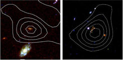 Abb.2: Diese mit dem Weltraumteleskop Hubble gewonnenen Aufnahmen zeigen die beiden fernen, massereichen Galaxien (jeweils in der Bildmitte), deren Gehalt an molekularem Gas (weiße Konturen) jetzt erstmals bestimmt werden konnte.