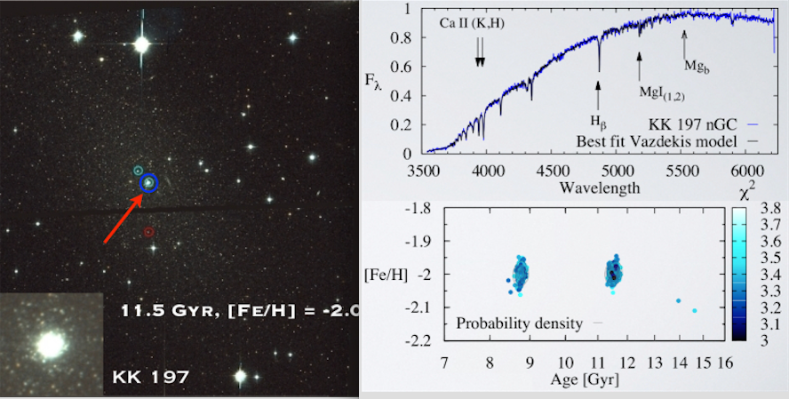 Example of the VLT/UVES and FORS spectra.