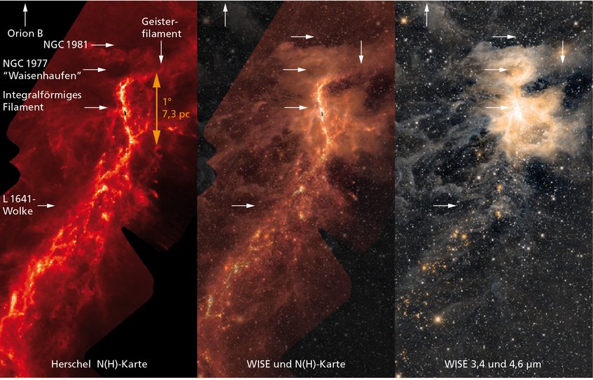 Abbildung 1: Bild des Sternentstehungsgebiets Orion A. Zu erkennen sind das integralförmige Filament, die zwei Sternhaufen oberhalb des Filaments sowie im Süden die Wolke L1641. Linkes Bild: (Säulen-)Dichtekarte für Wasserstoff aus Daten des Weltraumteleskops Herschel. Rechtes Bild: Infrarotbild des Weltraumteleskops WISE (Lang 2014). Mitte: Kombination der zwei Bilder. Abbildung 1: Bild des Sternentstehungsgebiets Orion A. Zu erkennen sind das integralförmige Filament, die zwei Sternhaufen oberhalb des Filaments sowie im Süden die Wolke L1641. Linkes Bild: (Säulen-)Dichtekarte für Wasserstoff aus Daten des Weltraumteleskops Herschel. Rechtes Bild: Infrarotbild des Weltraumteleskops WISE (Lang 2014). Mitte: Kombination der zwei Bilder.