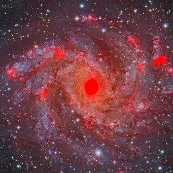 Die Galaxie NGC 6946. Im Hintergrund ein Bild im sichtbaren Licht, darüber falschfarben in rot: Radiostrahlung im 3-cm-Band zeigt Gebiete mit aktiver Sternentstehung an. Die Galaxie NGC 6946. Im Hintergrund ein Bild im sichtbaren Licht, darüber falschfarben in rot: Radiostrahlung im 3-cm-Band zeigt Gebiete mit aktiver Sternentstehung an.