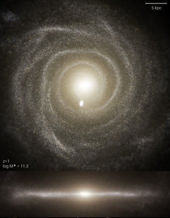 Die TNG-Simulationen bilden das Universum von der großräumigen Struktur bis hinunter zu den Unterstrukturen von Galaxien nach. Die TNG-Simulationen bilden das Universum von der großräumigen Struktur bis hinunter zu den Unterstrukturen von Galaxien nach.