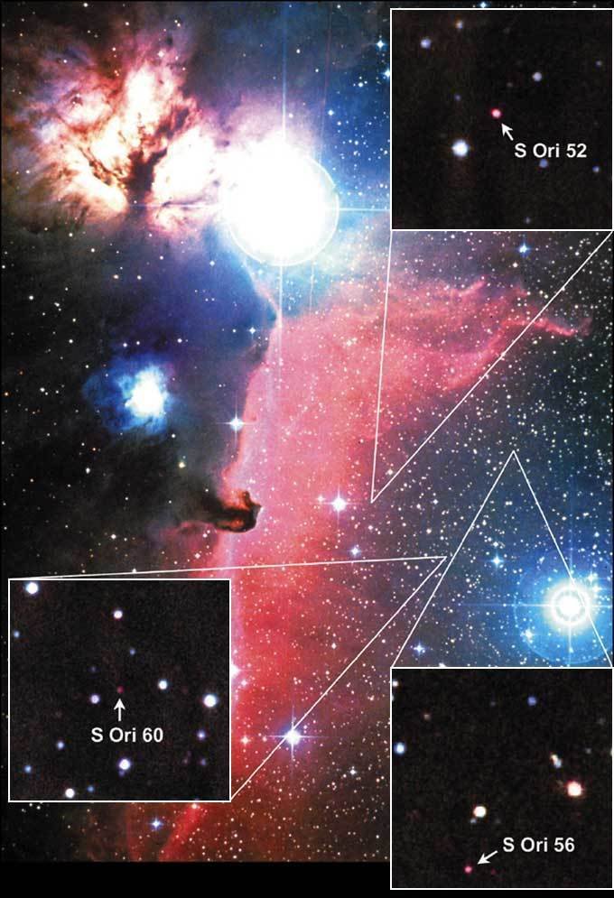 Abb. 1: Die entdeckten Planeten befinden sich in der Nähe des Pferdekopfnebels im Sternbild Orion und sind etwa tausend Lichtjahre entfernt. Abb. 1: Die entdeckten Planeten befinden sich in der Nähe des Pferdekopfnebels im Sternbild Orion und sind etwa tausend Lichtjahre entfernt.
