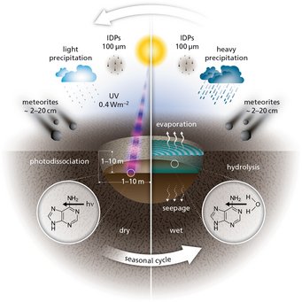 A schematic representation of the various influences acting on chemicals in warm little ponds during the dry phase and wet phase of the cycle: infalling meteorites and interplanetary dust grains (IDGs), seepage, evaporation, re-filling through precipitation, hydrolysis of more complex molecules and photo-dissociation by UV photons from the Sun. A schematic representation of the various influences acting on chemicals in warm little ponds during the dry phase and wet phase of the cycle: infalling meteorites and interplanetary dust grains (IDGs), seepage, evaporation, re-filling through precipitation, hydrolysis of more complex molecules and photo-dissociation by UV photons from the Sun.