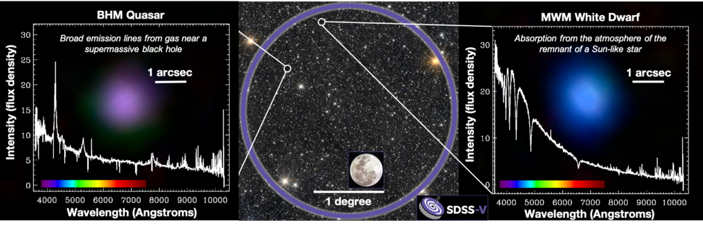 This image shows a sampling of data from the first SDSS-V data. The central sky image is a single field of SDSS-V observations. The purple circle indicates the telescope’s field-of-view on the sky, with the full Moon shown as a size comparison. SDSS-V simultaneously observes 500 targets at a time within a circle of this size. The left panel shows the optical-light spectrum of a quasar--a supermassive black hole at the center of a distant galaxy, which is surrounded by a disk of hot, glowing gas. The purple blob is an SDSS image of the light from this disk, which in this dataset spans about 1 arcsecond on the sky, or the width of a human hair as seen from about 21 meters (63 feet) away. The right panel shows the image and spectrum of a white dwarf -- the left-behind core of a low-mass star (like the Sun) after the end of its life.