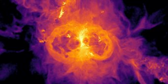 Gasdichte rund um eine massereiche Zentralgalaxie in einer Galaxiengruppe im virtuellen Universum der TNG50-Simulation. Das Gas im Inneren der Galaxie entspricht der hellen vertikalen Struktur und bildet eine Gasscheibe. Links und rechts von der Struktur befinden sich Blasen - Regionen, die in diesem Bild wie Kreise aussehen, mit deutlich reduzierter Gasdichte im Inneren. Diese Geometrie des Gases ist auf die Wirkung des supermassereichen Schwarzen Lochs zurückzuführen, das sich im Zentrum der Galaxie verbirgt, das Gas vorzugsweise in Richtungen senkrecht zur Gasscheibe der Galaxie ausstößt und dabei Regionen mit geringerer Dichte erzeugt. Gasdichte rund um eine massereiche Zentralgalaxie in einer Galaxiengruppe im virtuellen Universum der TNG50-Simulation. Das Gas im Inneren der Galaxie entspricht der hellen vertikalen Struktur und bildet eine Gasscheibe. Links und rechts von der Struktur befinden sich Blasen - Regionen, die in diesem Bild wie Kreise aussehen, mit deutlich reduzierter Gasdichte im Inneren. Diese Geometrie des Gases ist auf die Wirkung des supermassereichen Schwarzen Lochs zurückzuführen, das sich im Zentrum der Galaxie verbirgt, das Gas vorzugsweise in Richtungen senkrecht zur Gasscheibe der Galaxie ausstößt und dabei Regionen mit geringerer Dichte erzeugt.