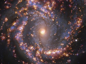 This image, taken by the Multi-Unit Spectroscopic Explorer (MUSE) on ESO’s Very Large Telescope (VLT), shows the nearby galaxy NGC 4303. NGC 4303 is a spiral galaxy, with a bar of stars and gas at its centre, located approximately 55 million light-years from Earth in the constellation Virgo. The image is an overlay of observations conducted at different wavelengths of light to map stellar populations and warm gas. The golden glows mainly correspond to clouds of ionised hydrogen, oxygen and sulphur gas, marking the presence of newly born stars, while the bluish regions in the background reveal the distribution of slightly older stars.  
The image was taken as part of the Physics at High Angular resolution in Nearby GalaxieS (PHANGS) project, which is making high-resolution observations of nearby galaxies with telescopes operating across the electromagnetic spectrum This image, taken by the Multi-Unit Spectroscopic Explorer (MUSE) on ESO’s Very Large Telescope (VLT), shows the nearby galaxy NGC 4303. NGC 4303 is a spiral galaxy, with a bar of stars and gas at its centre, located approximately 55 million light-years from Earth in the constellation Virgo. The image is an overlay of observations conducted at different wavelengths of light to map stellar populations and warm gas. The golden glows mainly correspond to clouds of ionised hydrogen, oxygen and sulphur gas, marking the presence of newly born stars, while the bluish regions in the background reveal the distribution of slightly older stars.  
The image was taken as part of the Physics at High Angular resolution in Nearby GalaxieS (PHANGS) project, which is making high-resolution observations of nearby galaxies with telescopes operating across the electromagnetic spectrum