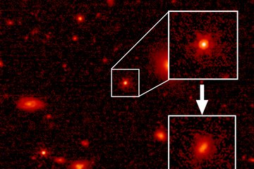With JWST, a first glimpse of stars in the neighborhood of massive black holes in the early universe