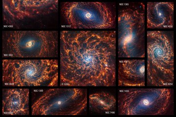Nineteen Webb images of face-on spiral galaxies are combined in a mosaic. Some appear within squares, and others horizontal or vertical rectangles. Many galaxies have blue hazes toward the centres, and all have orange spiral arms. Many have clear bar shaped-structures at their centres, but a few have spirals that begin at their cores. Some of the galaxies’ arms form clear spiral shapes, while others are more irregular. Some of the galaxies’ arms appear to rotate clockwise and others counter clockwise. Most galaxy cores are centred, but a few appear toward an image’s edge. Most galaxies appear to extend beyond the captured observations. The galaxies shown, listed in alphabetical order, are IC 5332, NGC 628, NGC 1087, NGC1300, NGC 1365, NGC 1385, NGC 1433, NGC 1512, NGC 1566, NGC 1672, NGC 2835, NGC 3351, NGC 3627, NGC 4254, NGC 4303, NGC 4321, NGC 4535, NGC 5068, and NGC 7496.