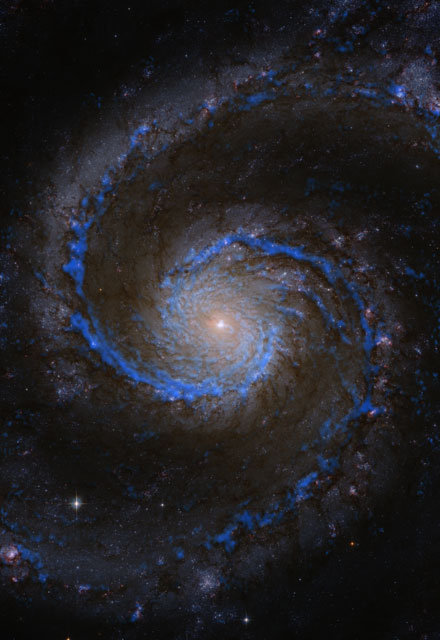 PAWS-Map of the Whirlpool galaxy M51 showing the presence of molecular hydrogen (in blue).