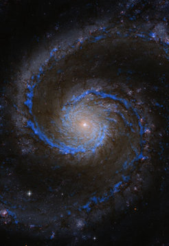How much raw material for making new stars is there in the Whirlpool galaxy?