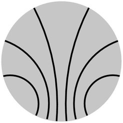 Kirchhoff-Institute for Physics