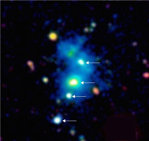 Bild der Raumregion, in der sich das seltene Quasar-Quartett befindet. Die Positionen der vier Quasare sind durch Pfeile angezeigt. Der Nebel, in den die Quasare eingebettet sind, ist als bläuliches durchscheinendes Gebilde zu sehen. Er hat eine Ausdehnung von rund einer Million Lichtjahren. Quasar und Nebel sind so weit von uns entfernt, dass ihr Licht fast 10 Milliarden Jahre benötigt hat, um Teleskope auf der Erde zu erreichen. Das Falschfarbenbild basiert auf Beobachtungen mit dem 10-Meter-Keck-Teleskop auf dem Gipfel des Maunakea in Hawaii.