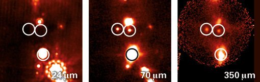 Abbildung 1: Drei der PACS Bright Red Sources (PBRS), die mit dem Weltraumteleskop Herschel gefunden wurden. Dabei dürfte es sich um einige der jüngsten bekannten Protosterne überhaupt handeln. Das Feld ganz links zeigt ein vom Weltraumteleskop Spitzer (bei 24 µm) aufgenommenes Bild, in welchem die beiden oberen Objekte vollständig unsichtbar sind, während das untere sich nicht eindeutig als Protostern identifizieren lässt. Die beiden rechten Felder zeigen Bilder vom Weltraumteleskop Herschel (bei 70 µm) und vom Submillimeterteleskop APEX (bei 350 µm), mit denen nachgewiesen werden konnte, dass es sich in der Tat um einige der jüngsten bekannten Protosterne handelt.