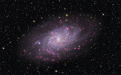 Abbildung 1: Bild des Dreiecksnebels M 33. Bei dieser Galaxie sehen die Astronomen direkt von oben auf die Scheibe mit ihren Spiralarmen. Die rosa Regionen enthalten neu geborene Sterne.