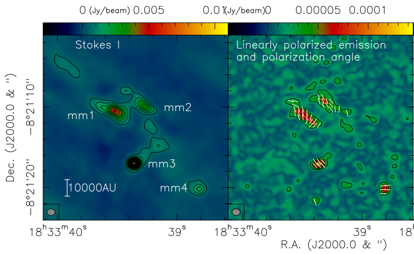 ALMA polarization data of the high-mass starless core IRDC18310-4. ALMA polarization data of the high-mass starless core IRDC18310-4.