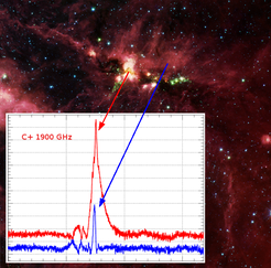 Abb1: Tief verborgen in der Riesen-Molekülwolke DR 21 im Sternbild Schwan richten neu entstandene Sterne in ihrer kosmischen Kinderstube massiven Schaden an. Das Falschfarbenbild im Hintergrund (NASA, Spitzer) zeigt die Gesamtverteilung der interstellaren Materie im Licht von warmem Staub, der durch die eingebetteten jungen Sterne aufgeheizt wird. Das Teilbild zeigt die Spektrallinie von ionisiertem Kohlenstoff, wie sie jetzt mit HIFI beobachtet wurde. Diese Linie leistet einen wichtigen Beitrag zur Kühlung des interstellaren Gases. Sie kann vom Boden aus nicht beobachtet werden, weil bei diesen Frequenzen die Erdatmosphäre undurchsichtig ist. Die breite Linie (in rot) an der Position eines neu entstandenen Sterns zeigt die Anwesenheit eines starken stellaren Windes an, der die umgebende Wolke auseinander reißt. Im Gegensatz dazu zeigt die Kontrollposition (in blau) die viel schmälere Emissionslinie vom ungestörten Teil der Wolke.