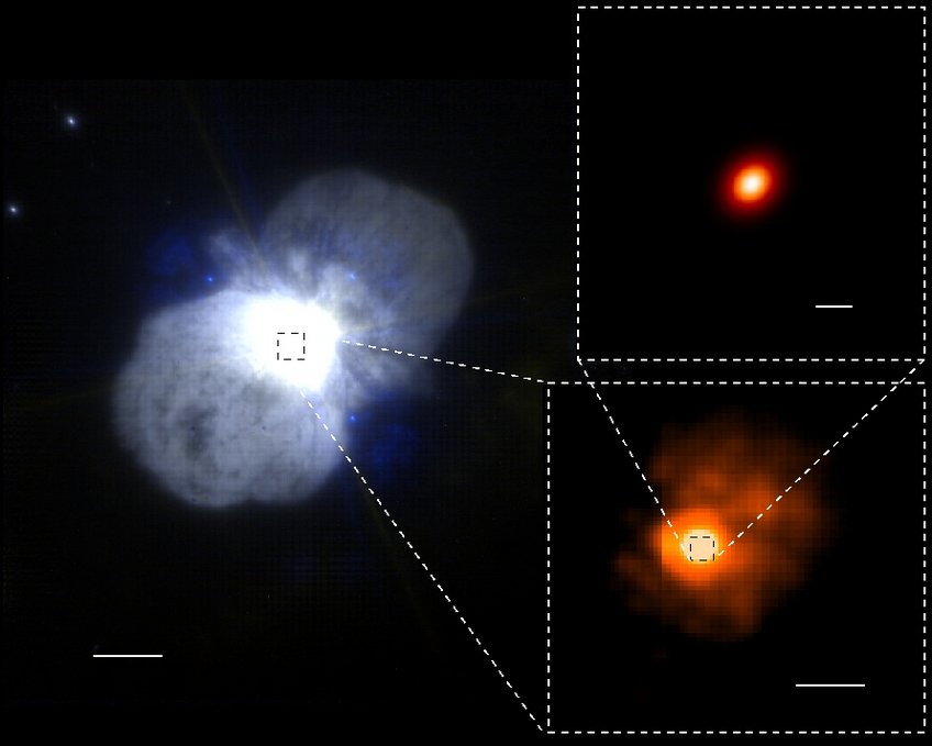 Bild: Der extrem helle, massereiche Stern Eta Carinae, aufgenommen mit dem Instrument NACO an einem der 8-Meter-Teleskope des VLT. Die eindrucksvolle Hülle aus Gas und Staub wird von der hohen Leuchtkraft des Sterns angetrieben und strömt mit hoher Geschwindigkeit bevorzugt in Richtung der Pole ab. Der vergrößerte Ausschnitt unten rechts zeigt die unmittelbare Umgebung des Sterns. Der noch weiter vergrößerte Ausschnitt oben rechts zeigt ein aus den VINCI-Daten erzeugtes Bild von Eta Carinae selbst. (Balken im großen Bild = 4500 Astronomische Einheiten (AE), Balken im Ausschnitt unten rechts = 500 AE, Balken im Ausschnitt oben rechts = 15 AE) Bild: Der extrem helle, massereiche Stern Eta Carinae, aufgenommen mit dem Instrument NACO an einem der 8-Meter-Teleskope des VLT. Die eindrucksvolle Hülle aus Gas und Staub wird von der hohen Leuchtkraft des Sterns angetrieben und strömt mit hoher Geschwindigkeit bevorzugt in Richtung der Pole ab. Der vergrößerte Ausschnitt unten rechts zeigt die unmittelbare Umgebung des Sterns. Der noch weiter vergrößerte Ausschnitt oben rechts zeigt ein aus den VINCI-Daten erzeugtes Bild von Eta Carinae selbst. (Balken im großen Bild = 4500 Astronomische Einheiten (AE), Balken im Ausschnitt unten rechts = 500 AE, Balken im Ausschnitt oben rechts = 15 AE)