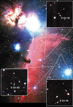Abb. 1: Die entdeckten Planeten befinden sich in der Nähe des Pferdekopfnebels im Sternbild Orion und sind etwa tausend Lichtjahre entfernt.