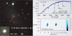 Example of the VLT/UVES and FORS spectra.