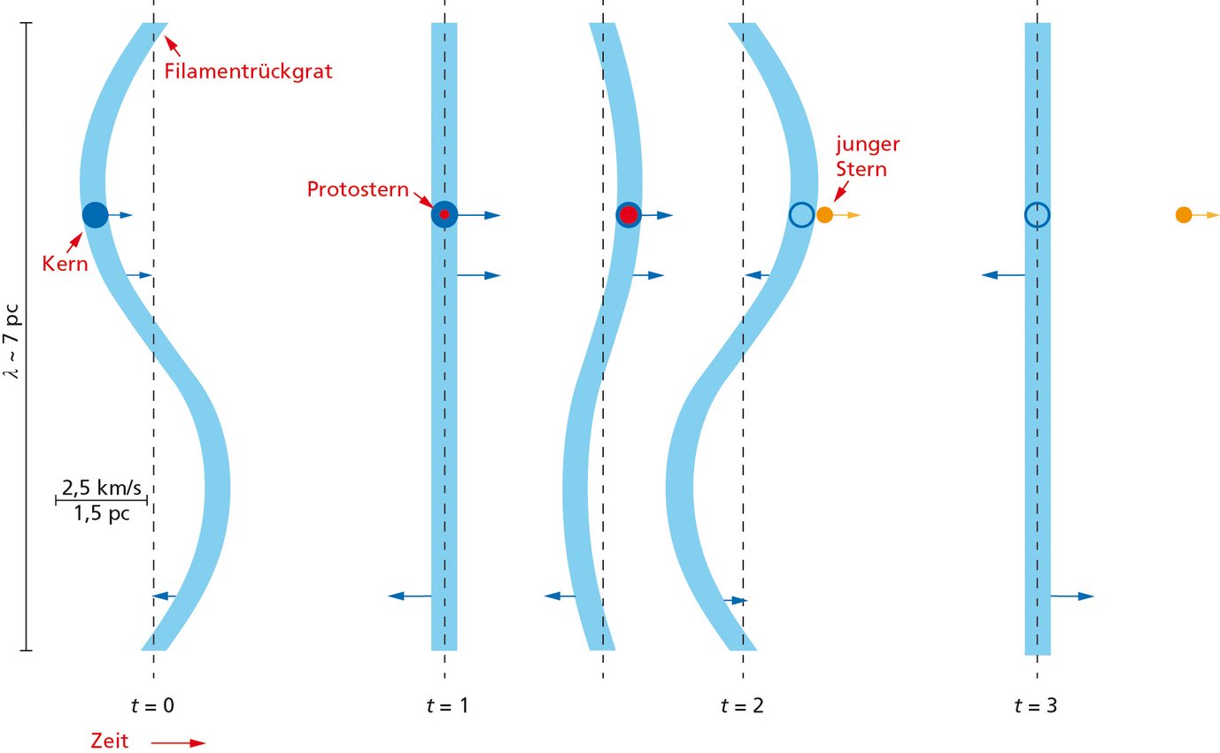 Abbildung 2: Skizze des Schleudermechanismus für Sterne. Solange das Objekt noch ein Protostern ist, wird es vom schwingenden Filament mitgeführt. Ist der Protostern zu einem jungen Stern und dabei ungleich kompakter geworden, ist die Wechselwirkung mit dem Filament nicht mehr stark genug, um das Objekt hinreichend stark zu beschleunigen. Der junge Stern wird zurückgelassen, während das Filament zurückschwingt, oder wie aus einer Steinschleuder fliegen gelassen.