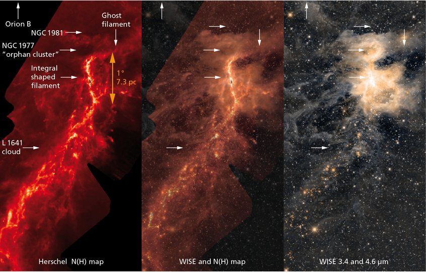 Abbildung 1: Bilder der Sternentstehungsregion Orion A, auf denen im oberen Bereich das integralförmige Filament, die zwei Sternhaufen außerhalb des Filaments und im Süden die Wolke L1641 zu sehen sind. Links: (Säulen-)Dichte-Karte, rekonstruiert aus Herschel-Daten; rechts: Infrarotbild, aufgenommen mit dem WISE-Weltraumteleskop; mittig: Kombination der beiden. Abbildung 1: Bilder der Sternentstehungsregion Orion A, auf denen im oberen Bereich das integralförmige Filament, die zwei Sternhaufen außerhalb des Filaments und im Süden die Wolke L1641 zu sehen sind. Links: (Säulen-)Dichte-Karte, rekonstruiert aus Herschel-Daten; rechts: Infrarotbild, aufgenommen mit dem WISE-Weltraumteleskop; mittig: Kombination der beiden.