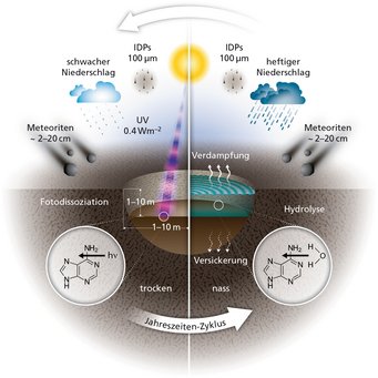 Schematische Darstellung der verschiedenen Einflüsse auf chemische Verbindungen in kleinen warmen Teichen im Wasser und während der Trockenphase: Materialnachschub durch Meteoriten und interplanetare Staubkörnern, Versickerung, Verdunstung, Wiederbefüllung durch Niederschlag, Hydrolyse komplexerer Moleküle und Photodissoziation durch UV-Photonen der Sonne. Schematische Darstellung der verschiedenen Einflüsse auf chemische Verbindungen in kleinen warmen Teichen im Wasser und während der Trockenphase: Materialnachschub durch Meteoriten und interplanetare Staubkörnern, Versickerung, Verdunstung, Wiederbefüllung durch Niederschlag, Hydrolyse komplexerer Moleküle und Photodissoziation durch UV-Photonen der Sonne.