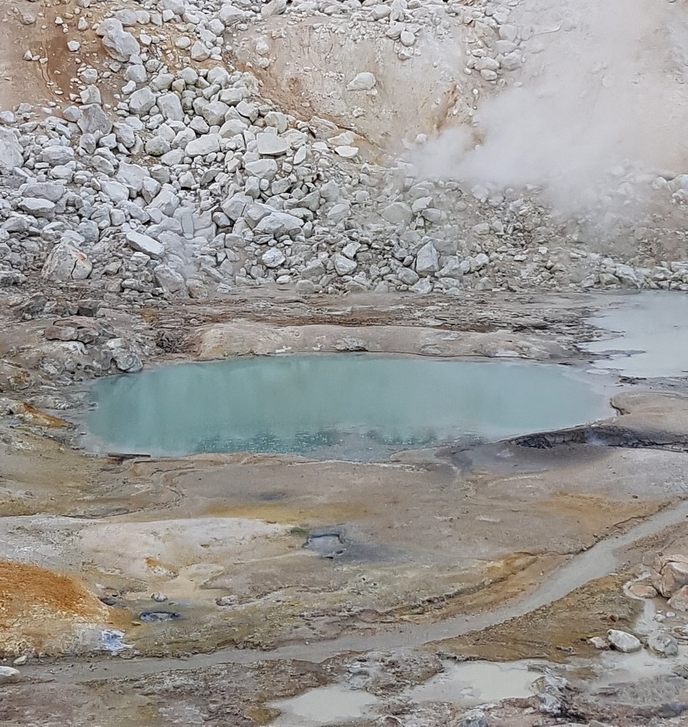 A warm little pond on present day Earth, on the Bumpass Hell trail in Lassen Volcanic National Park in California. The warm little ponds that are prime candidates for the birthplace of life on Earth probably looked somewhat similar.