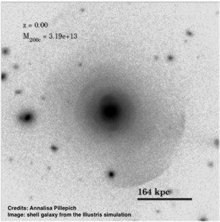 Galaxy assembly, accreted stars and stellar haloes