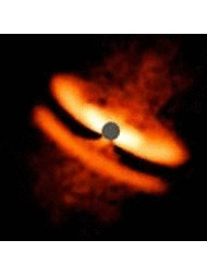 Circumstellar disks