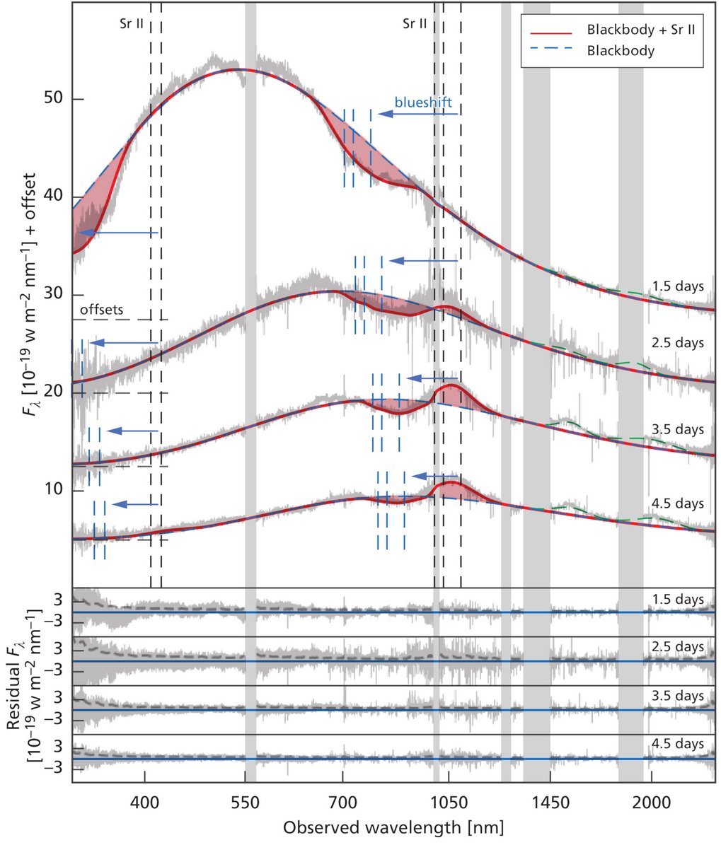 Spectral series of AT2017gfo from days 1.5, 2.5, 3.5, and 4.5 after the merger. The measured spectra are presented in grey in all panels. The dashed blue lines indicate the model blackbody fits, while the solid red lines contain the contribution of the ionised strontium (Sr II). The positions of the Sr II  lines are shown at their rest wavelength (black vertical lines) and at the measured, blueshifted position (blue lines). The solid red lines contain their contribution to the simple blackbody fit. The length of the blue arrows visualise the amount of blueshift that is caused by the line-of-sight expansion velocity. The green dashed lines show Gaussian emission profiles added to the overall fit in the infrared to ensure the continuum fit is not biased. The individual spectra are plotted with an offset for clarity of presentation, with the zero of the flux indicated by the dashed black horizontal line segment. The four bottom panels show the residuals between the model and the observed spectra for days 1.5, 2.5, 3.5, 4.5 after the neutron star merger event, respectively. The four grey shaded areas were omitted from the modelling, as they contain spectral lines produced by Earth’s atmosphere.