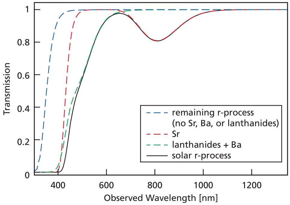 Synthetic model spectra of various elements believed to be produced during the r-process. Only strontium (Sr) is able to produce the strong absorption features around 350 nm and 850 nm.