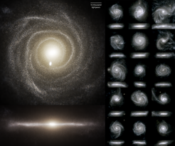 Simulierte Bilder von Scheibengalaxien aus der TNG50-Simulation im sichtbaren Licht. Jede Galaxie ist einmal in Draufsicht und einmal von der Seite gezeigt. Mit TNG50 konnten neue Erkenntnisse dazu gewonnen werden, wie solche Scheibengalaxien entstehen.