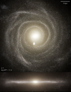 The TNG simulations model the univers from the large-scale cosmic structure right down to the substructure of galaxies.