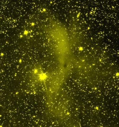 Figure 3: The animation shows the molecular cloud L 183 as observed by two telescopes: the SPITZER Space Telescope in the mid-infrared (wavelength: 3.6 micrometers) and the Canada France Hawaii Telescope in near-infrared light (wavelength: 0.9 micrometers). In near-infrared light (shown in blue, false-color), there is “cloudshine”: the scattering of light by smaller dust grains in the cloud's outer regions. The mid-infrared image (yellow, false-color) shows the newly discovered “coreshine”: light scattered by larger grains of dust in the cloud's denser core regions.