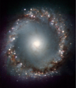 Figure 1: This near-infrared image of the active galaxy NGC 1097, obtained with NACO in 2005, discloses with unprecedented detail a complex network of filaments linking the outer regions with the galaxy's center. These observations provide astronomers with new insights on how super-massive black holes lurking inside galaxies get fed.