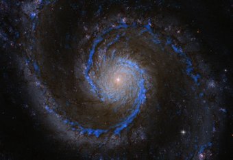 Figure 1: Molecular hydrogen in the Whirlpool Galaxy M51. The blueish features show the distribution of hydrogen molecules in M51, the raw material for forming new stars. The PAWS team has used this data to create a catalogue of more then 1,500 molecular clouds.The background is a color image of M51 by the Hubble Space Telescope. Superimposed in blue is the CO(1-0) radiation emitted by carbon monoxide (CO) molecules, as measured for the PAWS study using the millimeter telescopes of the Institut de Radioastronomie Millimétrique. The CO molecules are used as tracers for molecular hydrogen. Figure 1: Molecular hydrogen in the Whirlpool Galaxy M51. The blueish features show the distribution of hydrogen molecules in M51, the raw material for forming new stars. The PAWS team has used this data to create a catalogue of more then 1,500 molecular clouds.The background is a color image of M51 by the Hubble Space Telescope. Superimposed in blue is the CO(1-0) radiation emitted by carbon monoxide (CO) molecules, as measured for the PAWS study using the millimeter telescopes of the Institut de Radioastronomie Millimétrique. The CO molecules are used as tracers for molecular hydrogen.