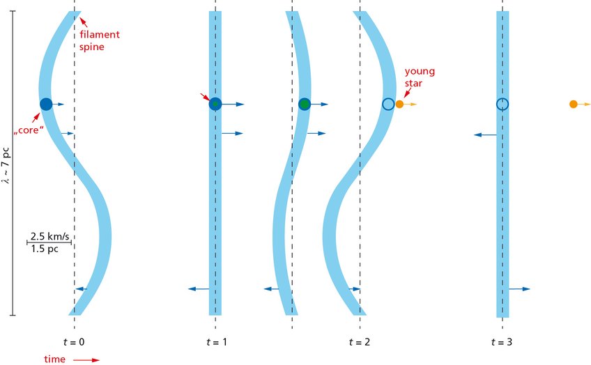 Figure 2: Sketch of the slingshot mechanism. While the object is still a protostar, it is wafted along with the undulating filament. Once the protostar has transformed into a young star, becoming much more compact in the process, interaction with the filament is not sufficiently strong to effect significant acceleration. The young star is left behind as the filament undulates on, or shot out of the filament as by a slingshot. Figure 2: Sketch of the slingshot mechanism. While the object is still a protostar, it is wafted along with the undulating filament. Once the protostar has transformed into a young star, becoming much more compact in the process, interaction with the filament is not sufficiently strong to effect significant acceleration. The young star is left behind as the filament undulates on, or shot out of the filament as by a slingshot.