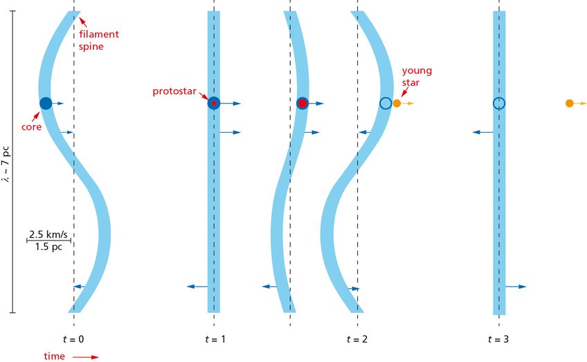 Figure 2: Sketch of the slingshot mechanism. While the object is still a protostar, it is wafted along with the undulating filament. Once the protostar has transformed into a young star, becoming much more compact in the process, interaction with the filament is not sufficiently strong to effect significant acceleration. The young star is left behind as the filament undulates on, or shot out of the filament as by a slingshot. Figure 2: Sketch of the slingshot mechanism. While the object is still a protostar, it is wafted along with the undulating filament. Once the protostar has transformed into a young star, becoming much more compact in the process, interaction with the filament is not sufficiently strong to effect significant acceleration. The young star is left behind as the filament undulates on, or shot out of the filament as by a slingshot.
