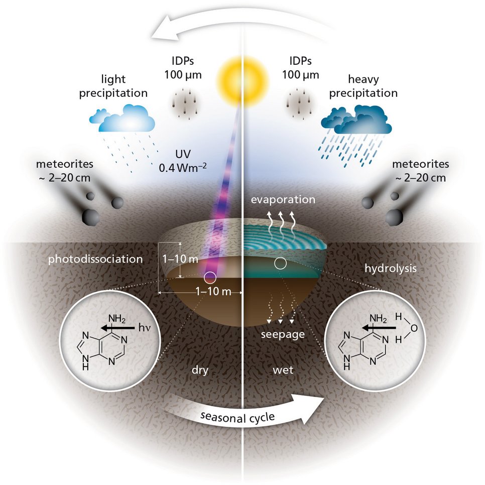 A schematic representation of the various influences acting on chemicals in warm little ponds during the dry phase and wet phase of the cycle: infalling meteorites and interplanetary dust grains (IDGs), seepage, evaporation, re-filling through precipitation, hydrolysis of more complex molecules and photo-dissociation by UV photons from the Sun.