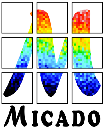 MICADO
